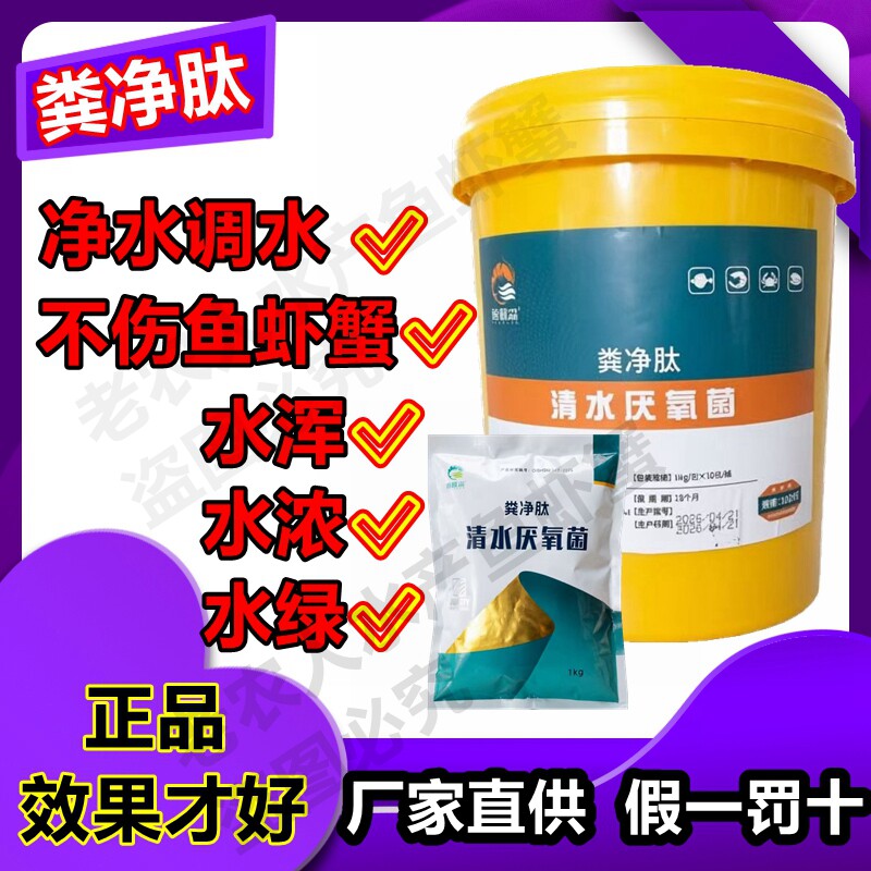 正品粪净肽 不耗氧粪静肽清水厌氧菌水浑水浓水绿降氨氮亚盐