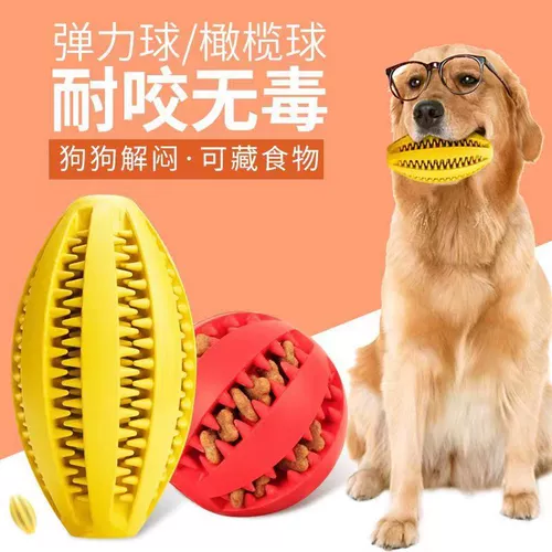 Резиновая игрушка, прыгучий мяч, домашний питомец
