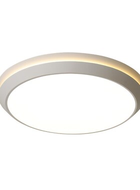 MEILCE Modern Led Ceiling Light  Simple Lighting Fix