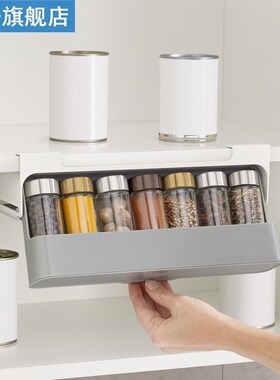 Practical Seasoning Bottles Storage Rack Hangable Condiments
