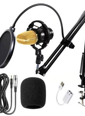 BM700 PC Microphone Studio Recording Professional Condenser