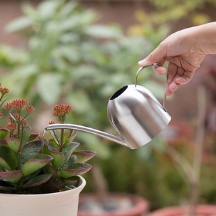 Stainless Steel Long Mouth Watering Pot Green Plant Watering