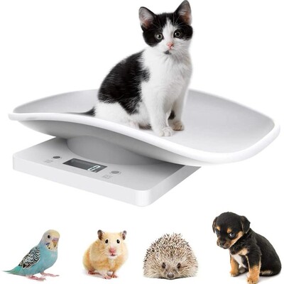 High Precision Digital Scale Weight Balance Scale Pet LCD El