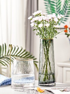 Nordic light flowers glass vase luxury furnishing articles