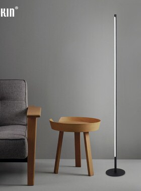 Modern Minimalist Nordic Floor Lamp LED Floor Lights  Black