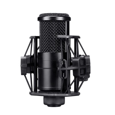 Condenser Microphones, Computer Broadcast Sound Card Equipm