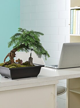 3pcs Pot Small Size Flowerpot Planter Pot With Tray Plastic