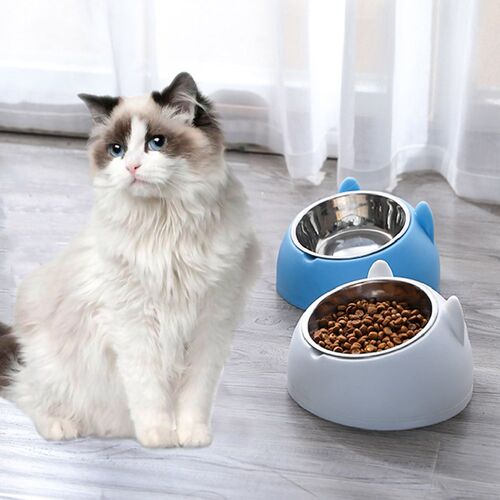 Dog 15 Degrees Tilted Easy Clean Feeder Pet Supplies Non-Sli