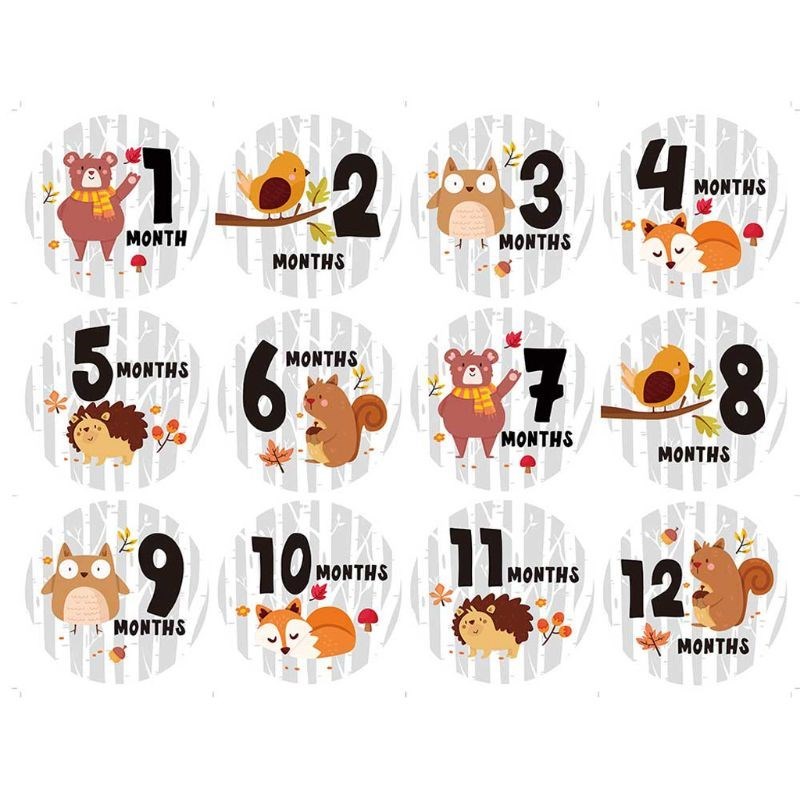 Ice-Cream Sticker Photo-Cards Baby-Growth-Album Monthly Newb