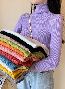 Women's Sweaters Autumn Winter Turtleneck Long Sleeve Casual