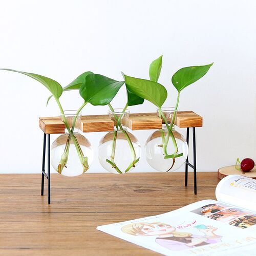 Glass Bottle Vase Hydroponic Plant Transparent Vase Wooden F