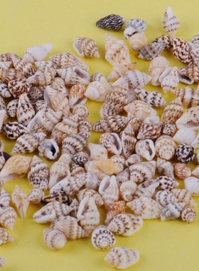 100pcs Small Sea Shells Assorted Natural Seashells Conch Cra