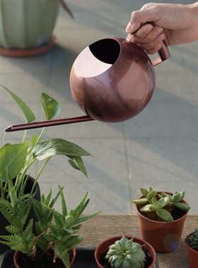 Gardening Tools Stainless Steel Watering Pot Mini Long Mouth