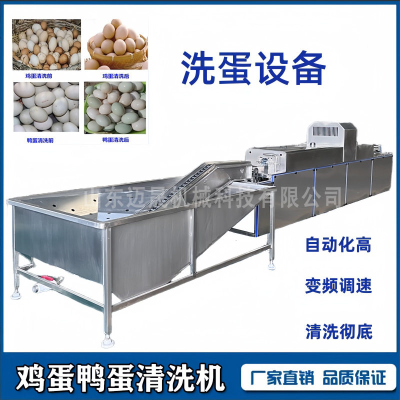 商用全自动洗蛋机养殖场鸡蛋鸭蛋松花蛋清洗去泥设备自动化洗蛋机,清洗/食品/商业设备,打蛋机/洗蛋机/磕蛋机,淘宝优惠券,粉丝福利购,淘宝优惠卷