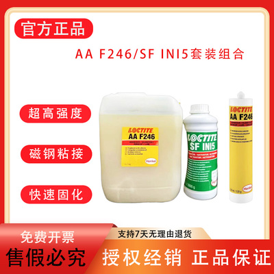 汉高乐泰AAF246结构胶SFINI5套装