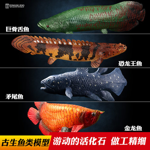 仿真鱼模型动物玩具观赏鱼摆件