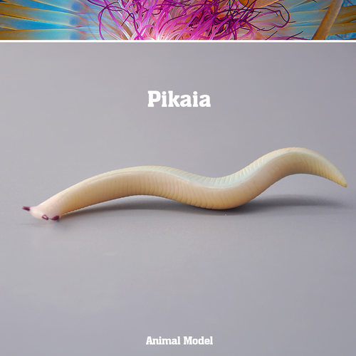 童德皮卡虫模型海洋动物玩具