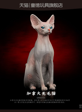 童德仿真动物玩具模型加拿大无毛猫塑胶灰色猫咪儿童礼物摆件