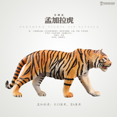 模型玩具老虎 正版 仿真动物老虎 东北虎孟加拉虎模型男孩儿童玩具