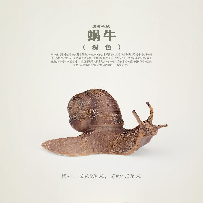 蜗牛模型动物玩具出口品质无气味