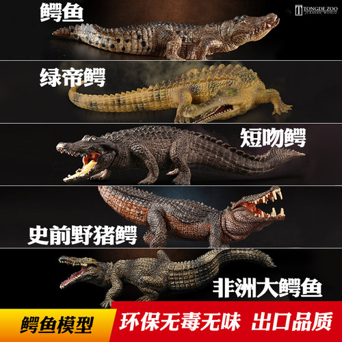鳄鱼模型动物玩具安全无味更精细