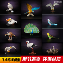 童德仿真动物模型玩具飞禽鸟类老鹰鹦鹉鸮孔雀游隼猫头啄木火烈鸟