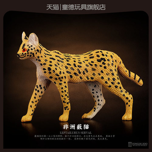 童德非洲薮猫PVC儿童玩具模型