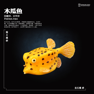 童德木瓜鱼模型仿真海洋动物玩具海底生物儿童认知益智