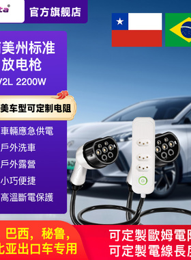南美放电枪巴西秘鲁放电插排V2L出口智利意大利新能源电车