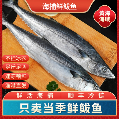 海捕马鲛鱼速冻锁鲜码头直发