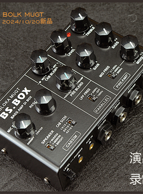 BASS 电贝斯箱体模拟单块贝斯DSM效果器带DI