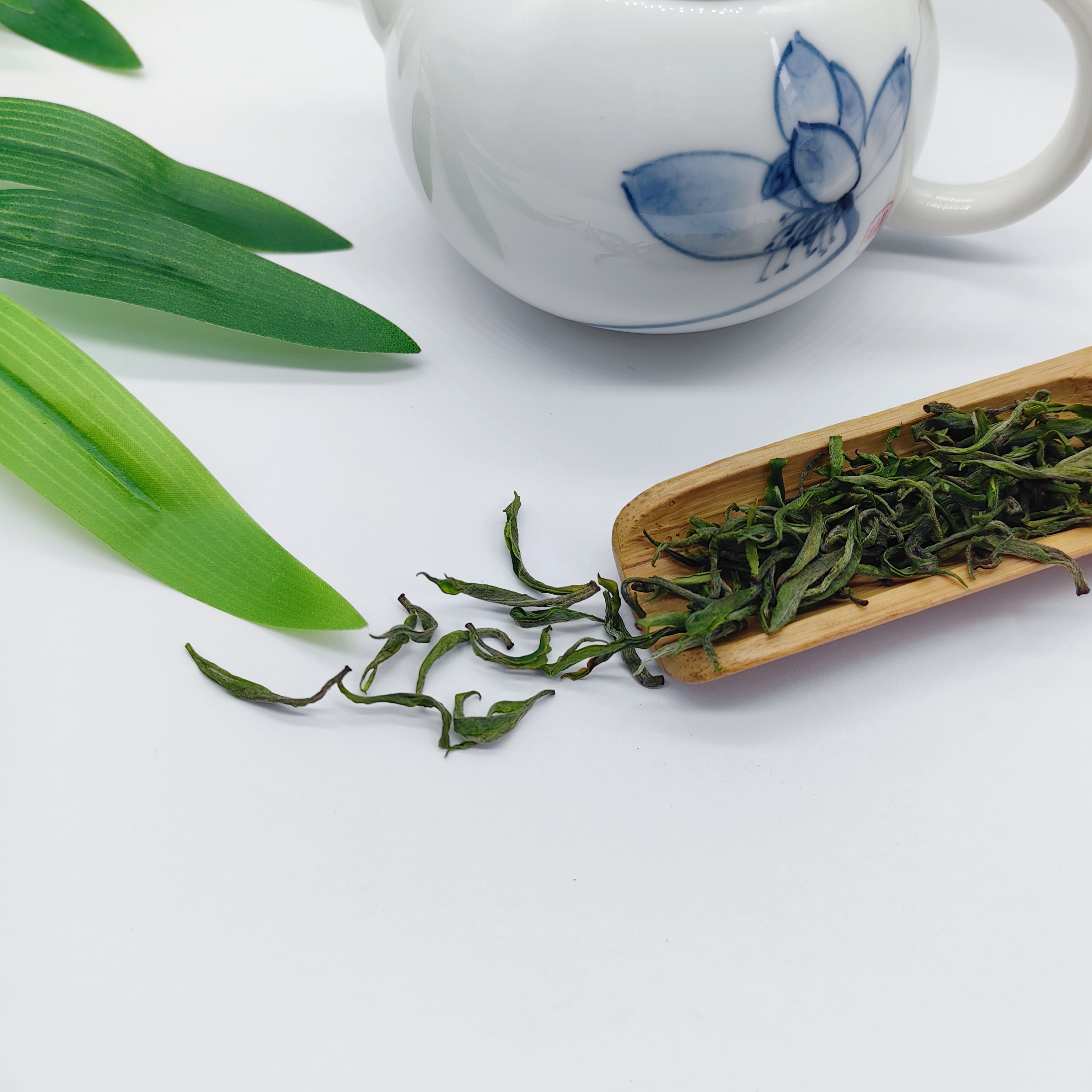 2026 保靖黄金茶2号头采