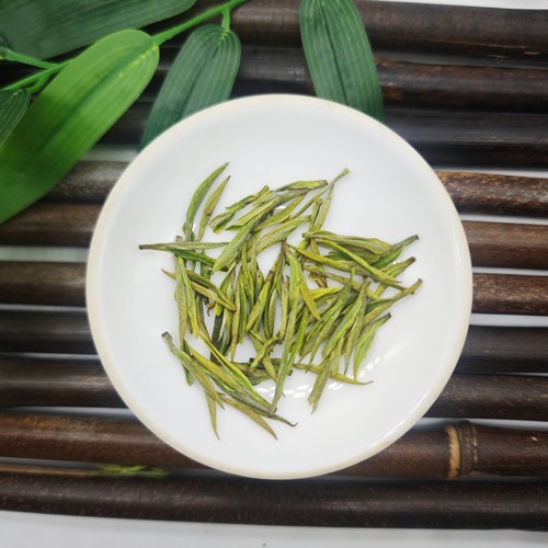 2026 新茶 安吉白茶头采