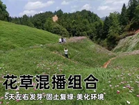 [Склонный защитный семена травы+семена цветов]/1 Косаные ткани защиты от склона озеленение обеспечивают счета -фактуры