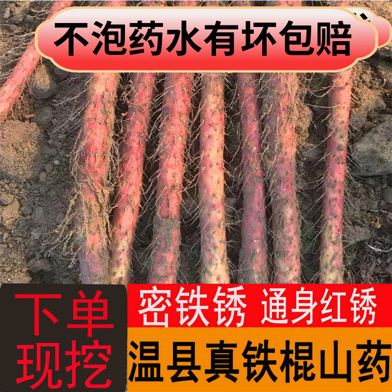 铁棍山药新鲜温县河南焦作特产铁杆棒麻紫红皮乌鸡土怀淮山约正宗