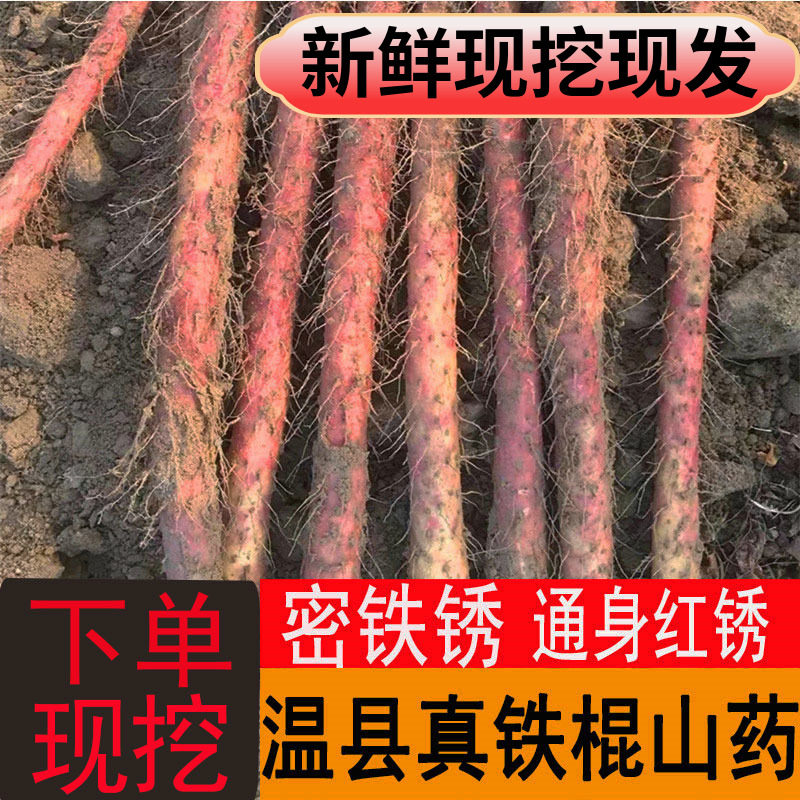 铁棍山药新鲜温县河南焦作特产铁杆棒麻紫红皮乌鸡土怀淮山约正宗
