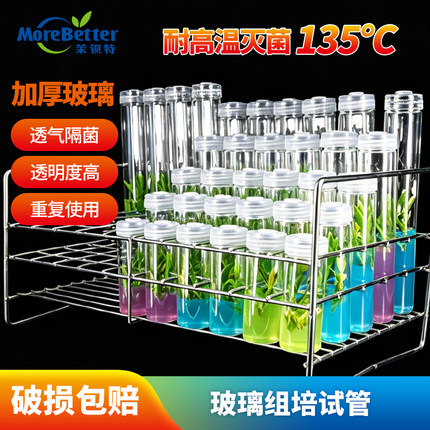 茉钡特玻璃组培试管高硼硅耐高温高压灭菌透气外植体培养实验耗材