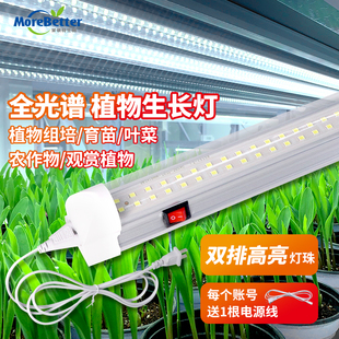 双排超亮植物快速生长补光T8LED组培灯全光谱蔬菜育苗上色防徒长