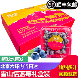 【北京当日达】雪山恬蓝莓云南雪山蓝莓鲜果新鲜水果12盒礼盒脆甜