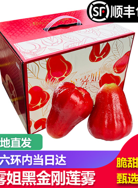 【顺丰包邮】莲雾姐海南空运黑刚莲雾新鲜热带水果礼盒装当季同城