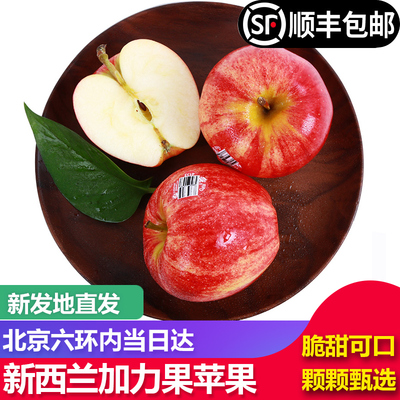 新西兰进口加力果苹果