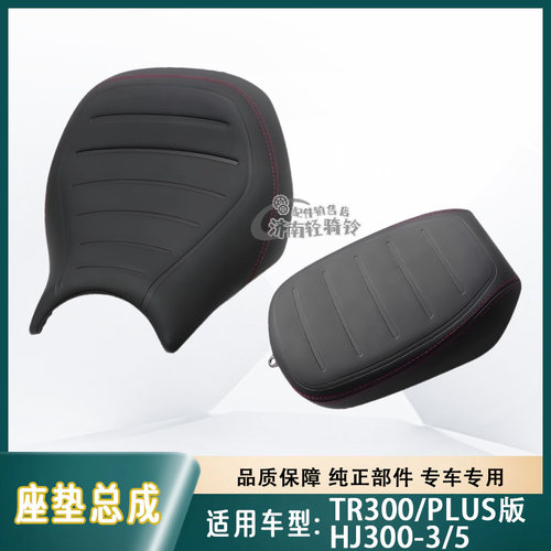 TR300/青春PLUS版坐垫总成