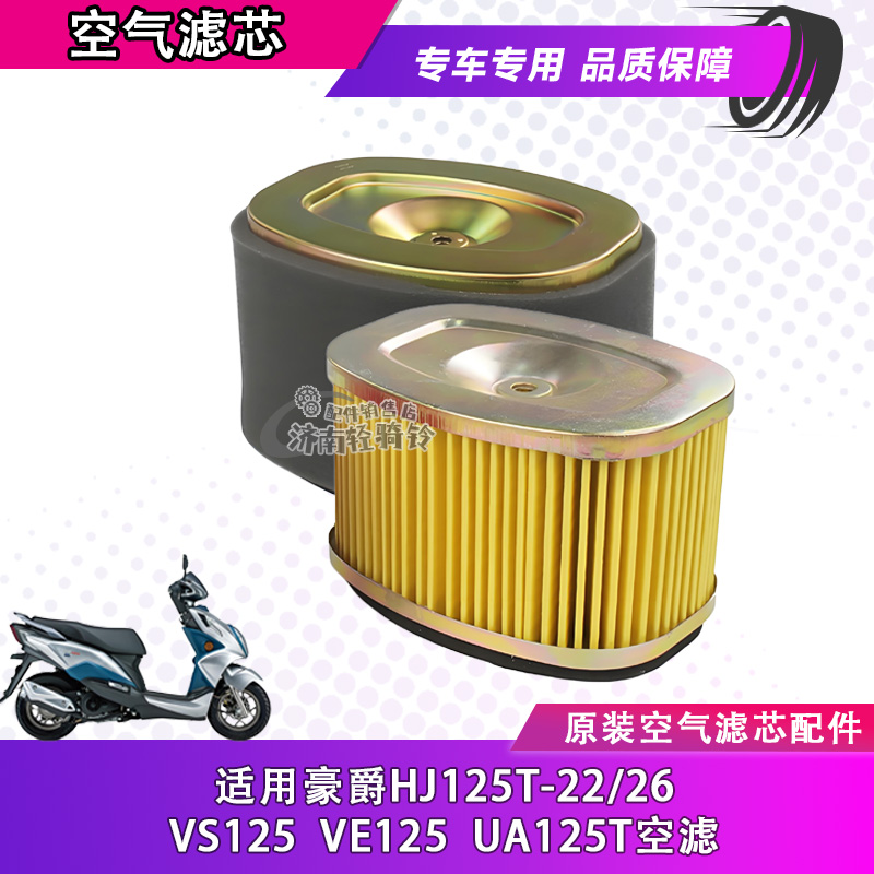 适用豪爵踏板摩托车VE VS125空气滤芯HJ125T-22/26原装空滤滤清器