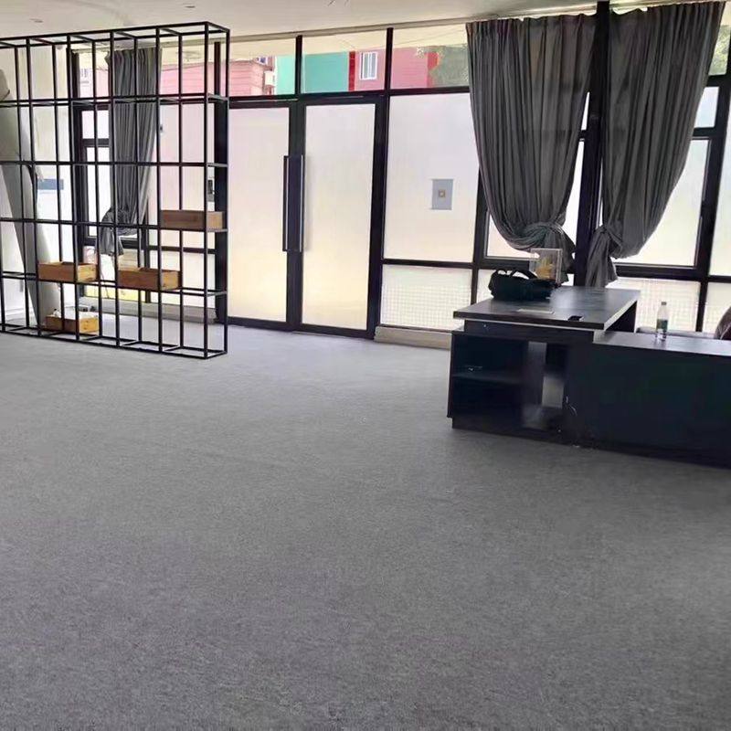 纯色地毯办公室满铺定制大面积拍照卧室客厅酒店直播间简约ins风