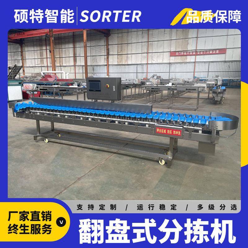 柑橘重量选果机丑橘橙子称重分选设备水果自动化翻盘分级机