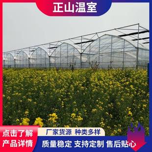 日光薄膜温室农业种植大棚抗风保暖棚内光照均匀薄膜温室厂家