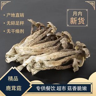 鹿茸菇特级干货500g 包邮 脆脆菇鹿茸菌新鲜云南菌子鹿茸姑香菇蘑菇