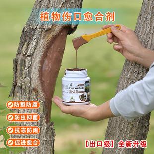 植物伤口愈合剂树皮损伤愈伤膏果树锯口剪枝封口胶嫁接涂膜剂糊涂