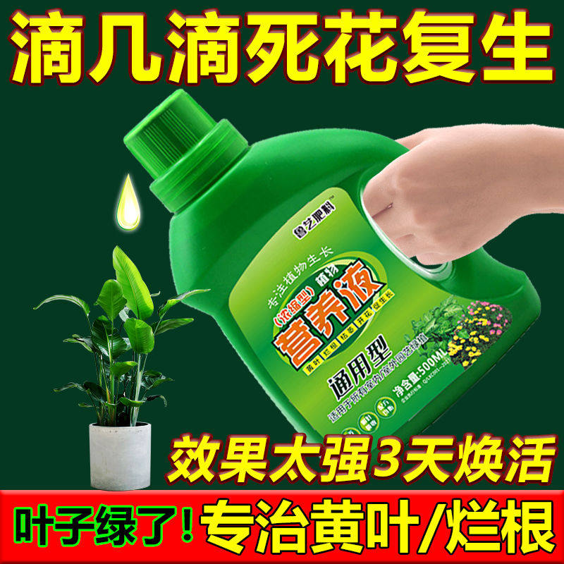 超浓缩植物营养液花肥通用化肥料家用绿植盆栽黄金葛叶黄万能富贵