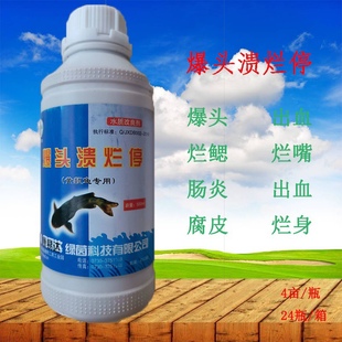 黄颡鱼专用爆头溃烂灵水产鱼药裂头烂身抗应激出血肠炎腐皮一点红